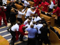 Fighting in South Africas Parliament
