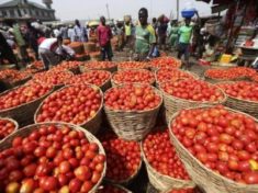 Nigerias annual inflation rises to 17.1 percent in July