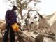 Cattle railway line opens in Nigeria