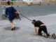 Woman takes her male companion for a walk on a DOG LEASH in China