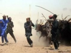 Herdsmen in Mali