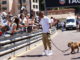 Lewis Hamilton and his pet dog