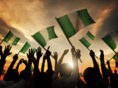Nigerians Nigeria Flag