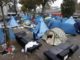 Police clear Paris migrant camp that swelled after Calais closure