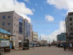 U.S. air strike in Somalia killed local militia not al Shabaab