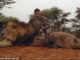 Zimbabwe court drops charges against hunter who helped kill Cecil the lion