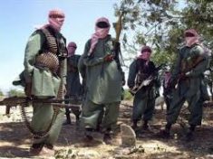 Insurgents behead Somali village elders over Islamic tax