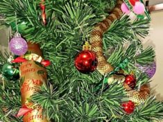 Snake disguises itself as tinsel on Australia Christmas tree