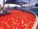 Dangote Tomato factory reopens February