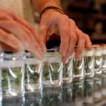 Germany Legalizes Cannabis for Medicinal Use