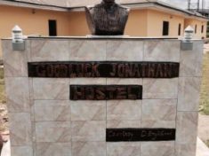 Man erects Goodluck Jonathan’s statue at UNIPORT