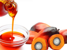 Palm oil