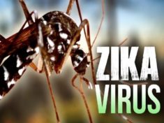 Zika Virus