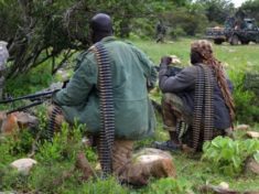 Somalias al Shabaab kill four in attack on hotel in Puntland region official