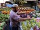 Egypts Feb annual urban consumer price inflation hits 30 yr high