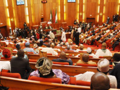 Nigerian Senate at Plenary