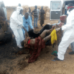 Suicide bomber