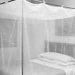 Mosquito net