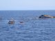 Mediterranean sea boat mishap