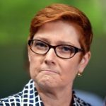 Australia suspends air strikes in Syria after U.S. downing of Syrian jet