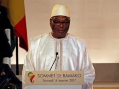 Mali government says to delay constitutional referendum