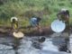 Ogoni land polluted with oil spills