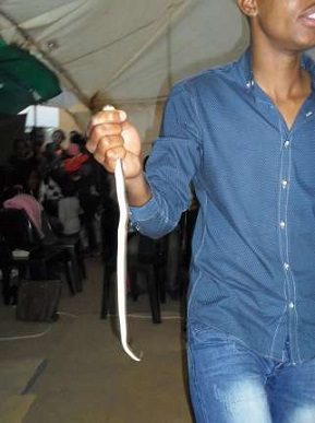 snake pastor