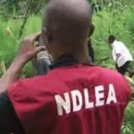 01ndlea