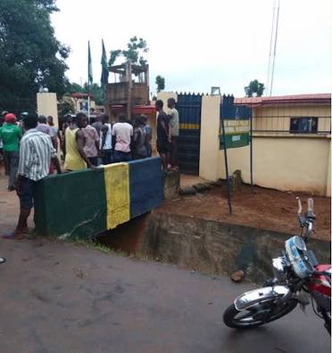 5601158 images52 jpega84c32189624a1337aa400267b9b46c5
