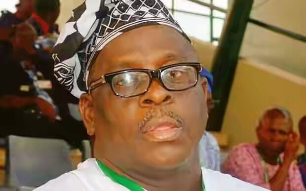 Kashamu1