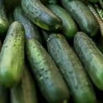 cucumber fruits in Cross River 620x400