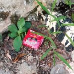 5927269 condom jpeg1dc87c28a54353dfeb45e6c1a5add85b
