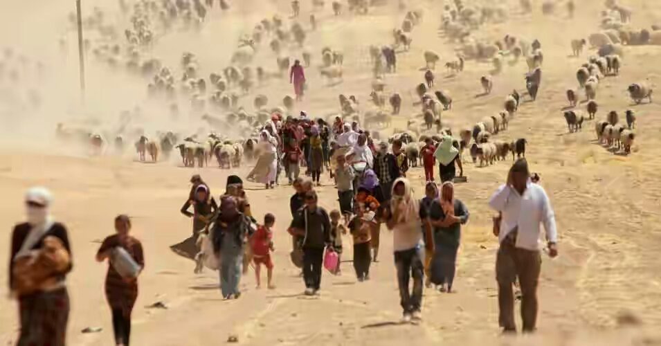 Refugees