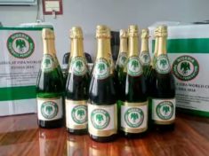 Super Eagles champagne Oct2017