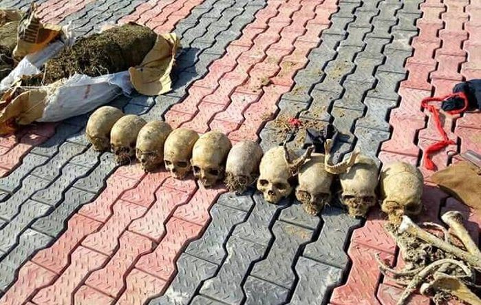6295501 skulls jpeg7f3be24dad1e90ab215a04e2ea857ed4