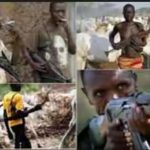 armed herdsmen