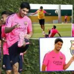 saurez