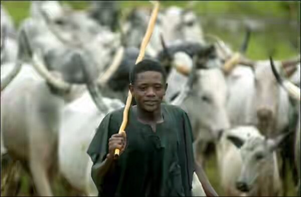 fulani herdsman 1 e1462633473878