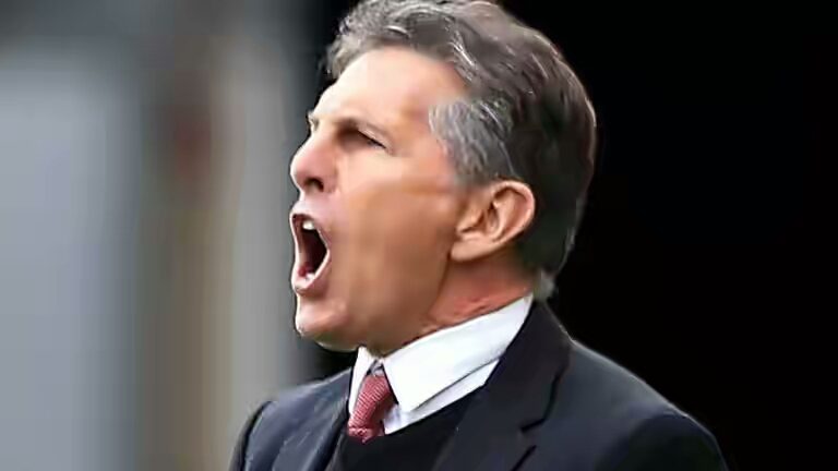 skysports claude puel southampton premier league football 3952671