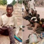 10 herdsmen arrested while destroying farmlands in Benue Photos Lailasnews