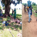 Adamawa herdsmen attack1