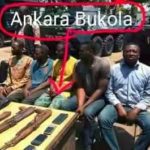 saraki wedding robbers4