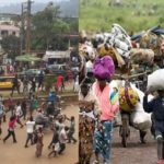 7378401 nigeriantradersfleeanglophonecameroonlailasnews jpeg44f78f7653b08c6332eff7b60fdb1a63