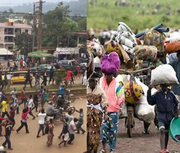 7378401 nigeriantradersfleeanglophonecameroonlailasnews jpeg44f78f7653b08c6332eff7b60fdb1a63