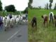 Herdsmen farmers