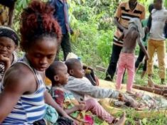 Southern Cameroon refugees in bushes