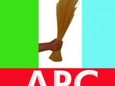 apc logo 1