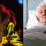 7643651 ikilledbobmarleyexciaagentconfesseslailasnews jpeg8659aae945e3f141928e8d14509849af