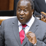 South African finance minister calls for swift action on debt to avoid IMF