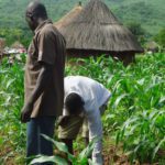 youth farming 1062x598